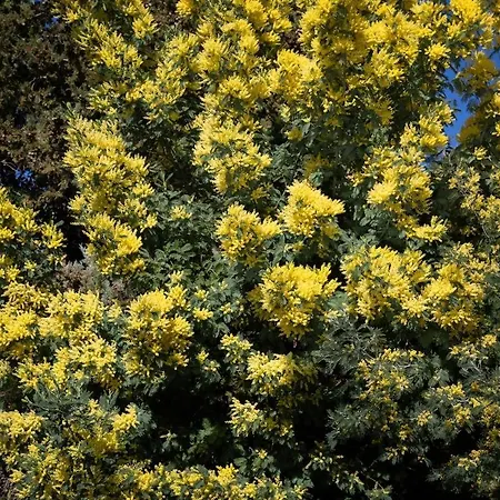 Contemporaine Avec Vue Mandelieu